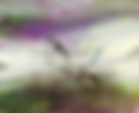 05.10.91 (preview)