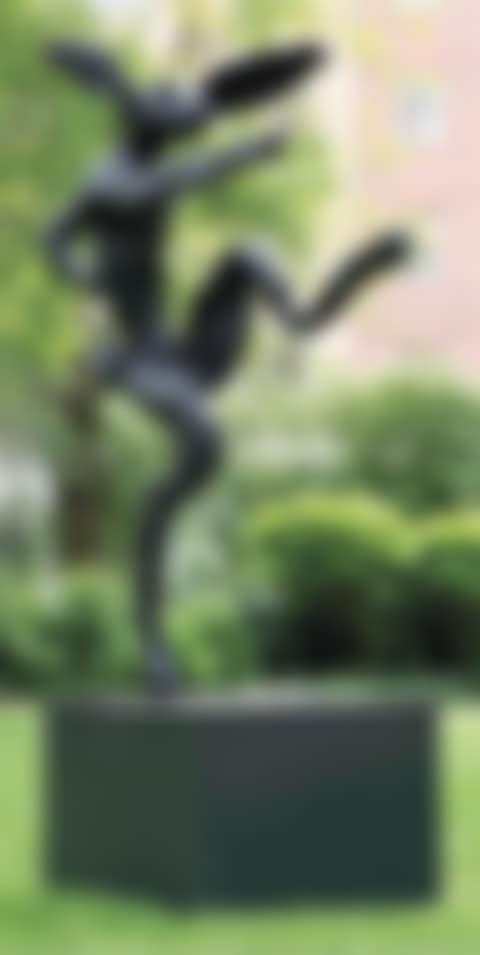 Nijinski Hare (preview)