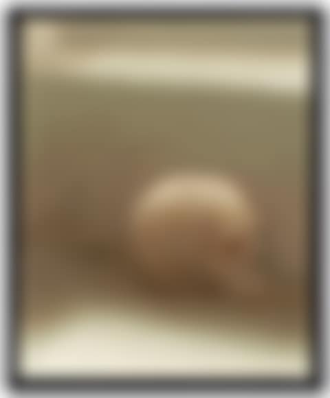 Schädel (Skull) (preview)
