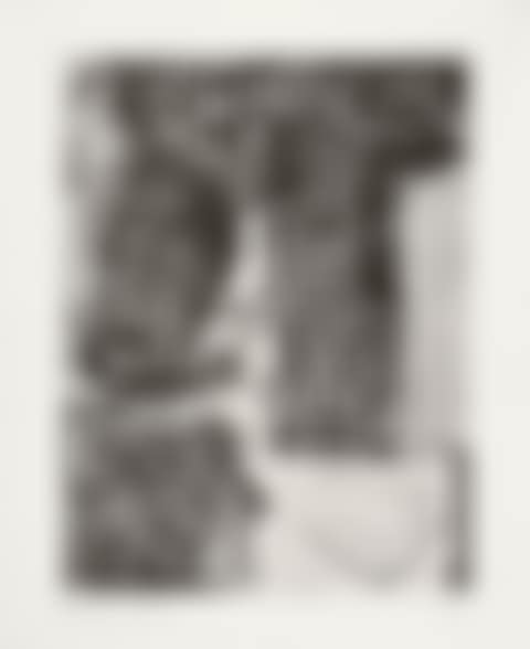 Signes, from Anatomy of my Universe (preview)