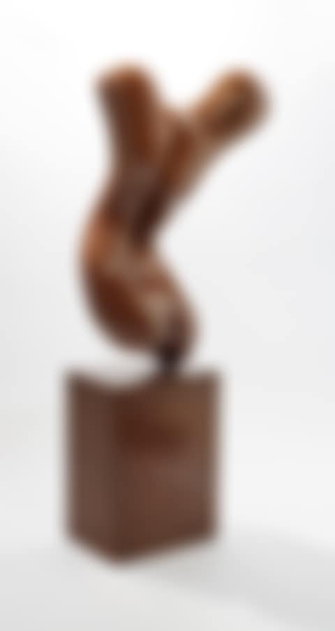 Torse (preview)