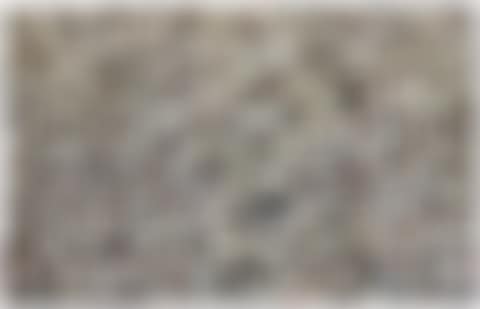 Mur d'oiseaux (preview)