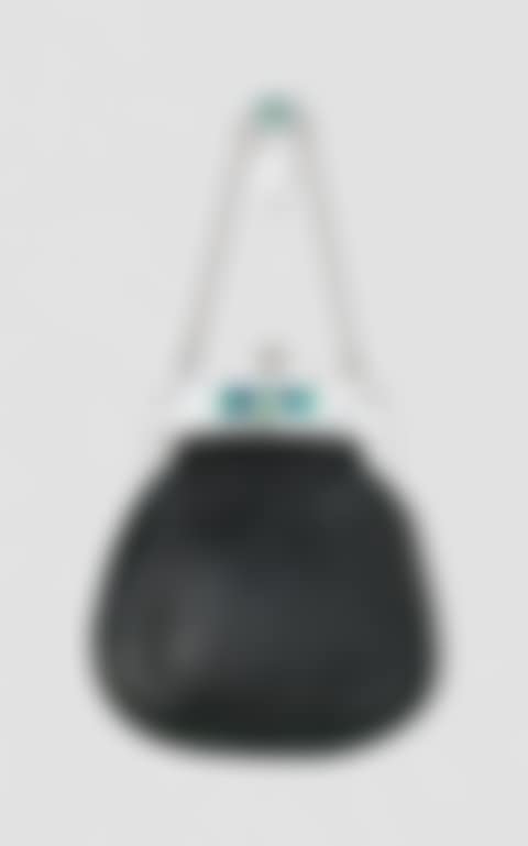 A RARE PURSE (preview)