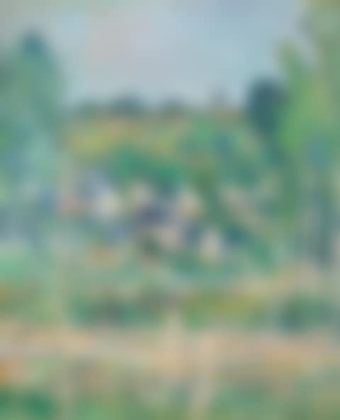 Vue d’Auvers-sur-Oise—La Barrière (preview)