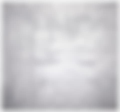 Untitled (Silver Pond Painting) (preview)