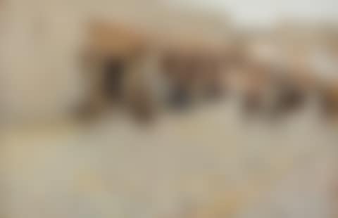 El Asha (preview)