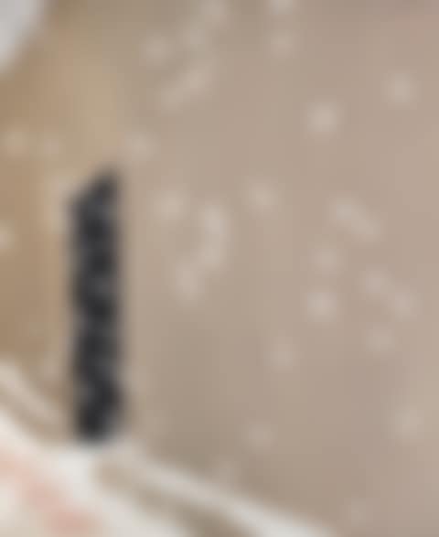 Black Door with Snow (preview)