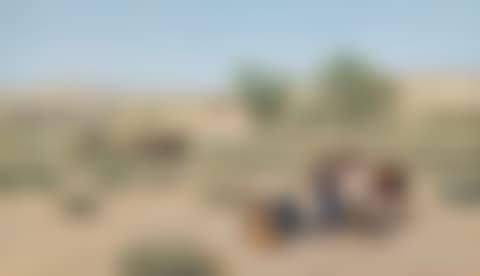 Indian Encampment (preview)