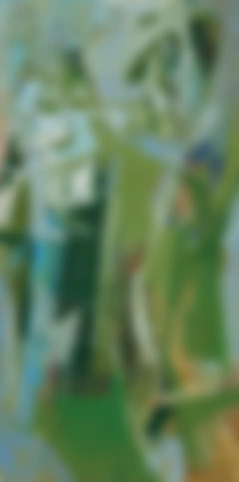 Offshore Islands (preview)