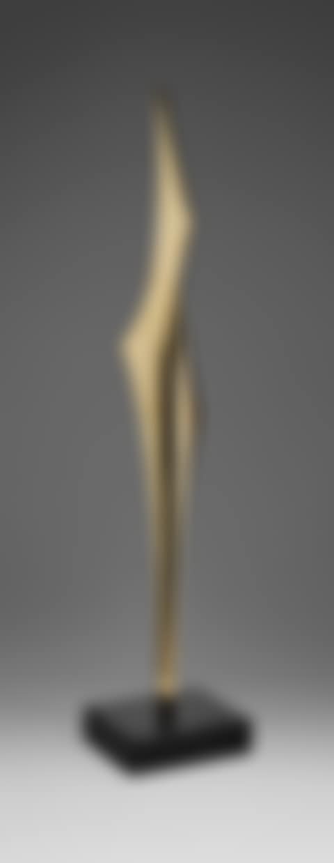 Taut Form (preview)