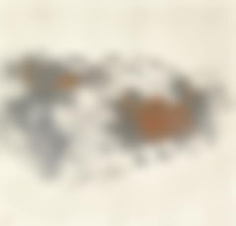 Landscape (preview)