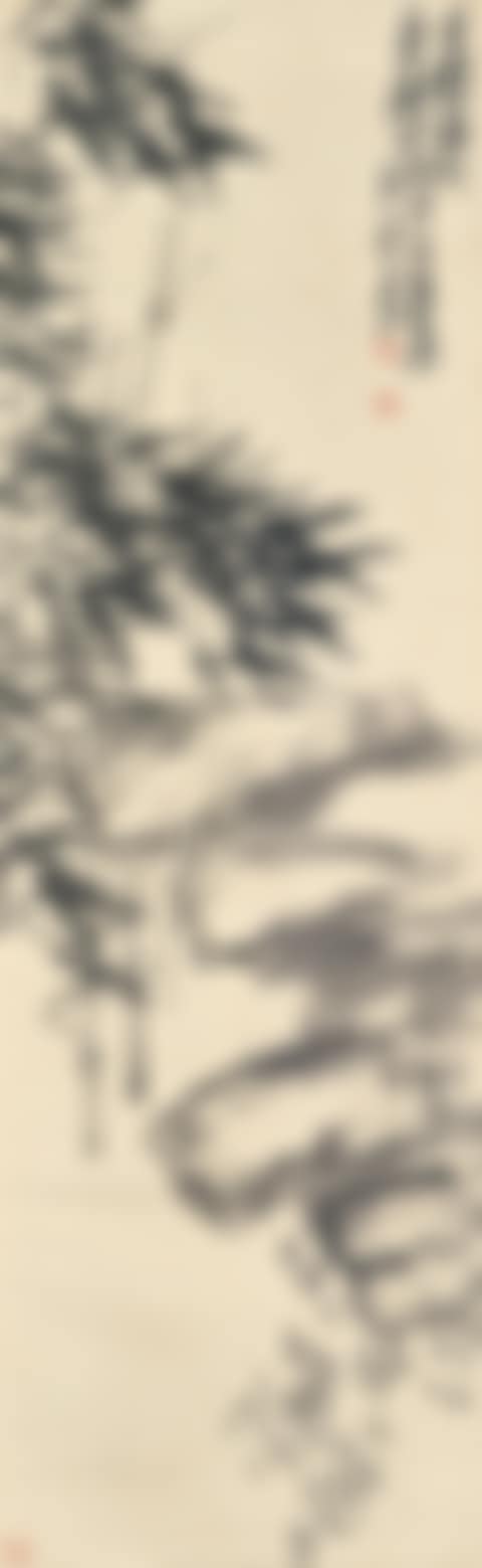 Bamboo and Rock (preview)