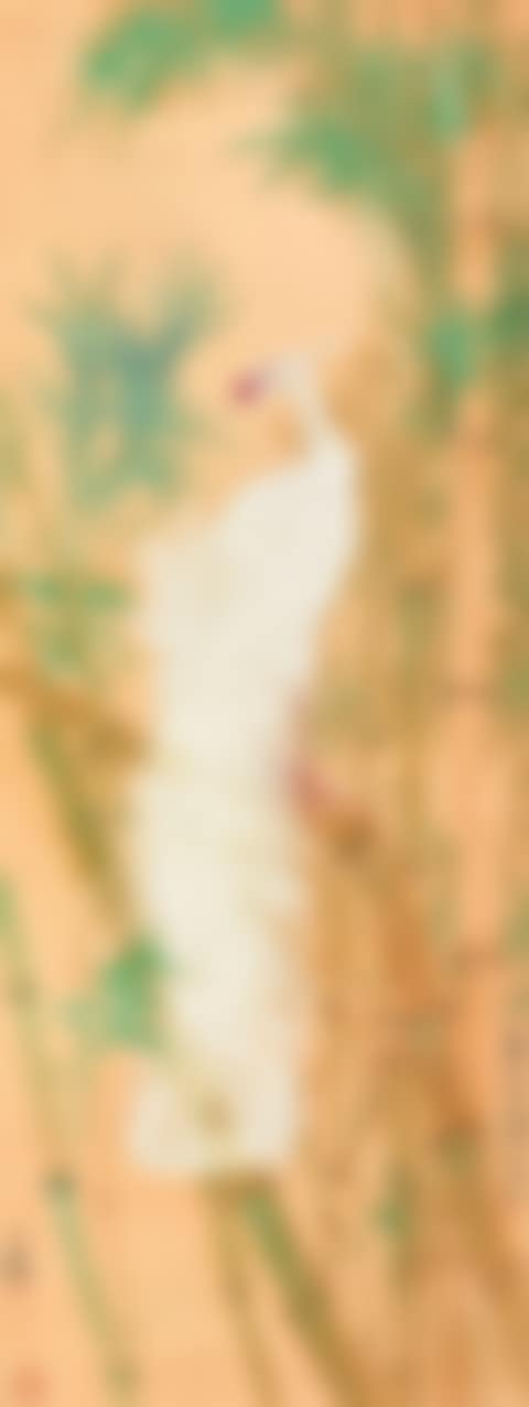 White Phoenix (preview)