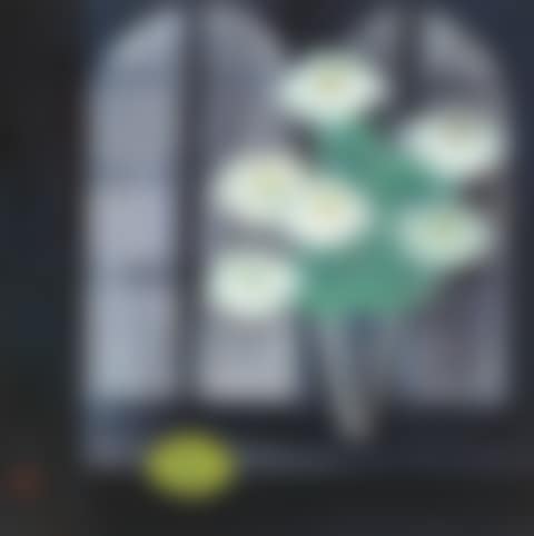 Cactus Flower (preview)