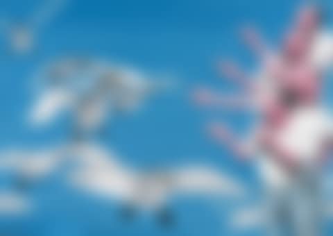 Big Swans (preview)