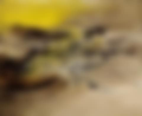 22.07.64 (preview)