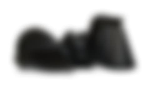 Early Forms (preview)