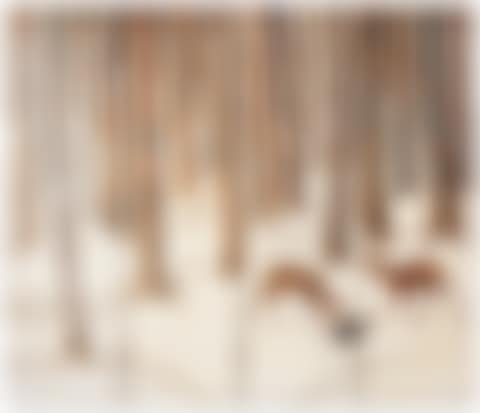 A 'FORÊT ENNEIGÉE' FIVE-PANEL SCREEN (preview)
