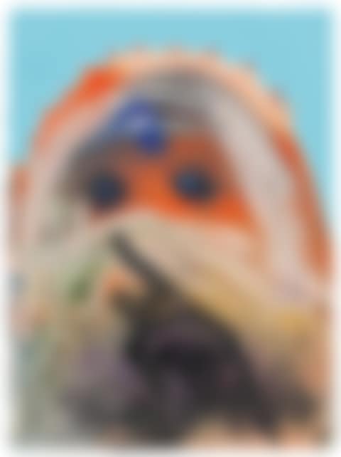 Femme voilée (preview)