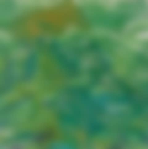Nymphéas (fragment) (preview)
