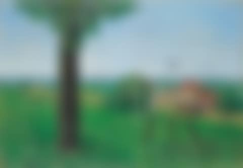 La belle captive (preview)