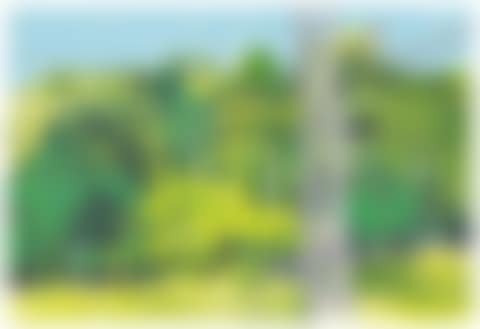 St. James II (preview)