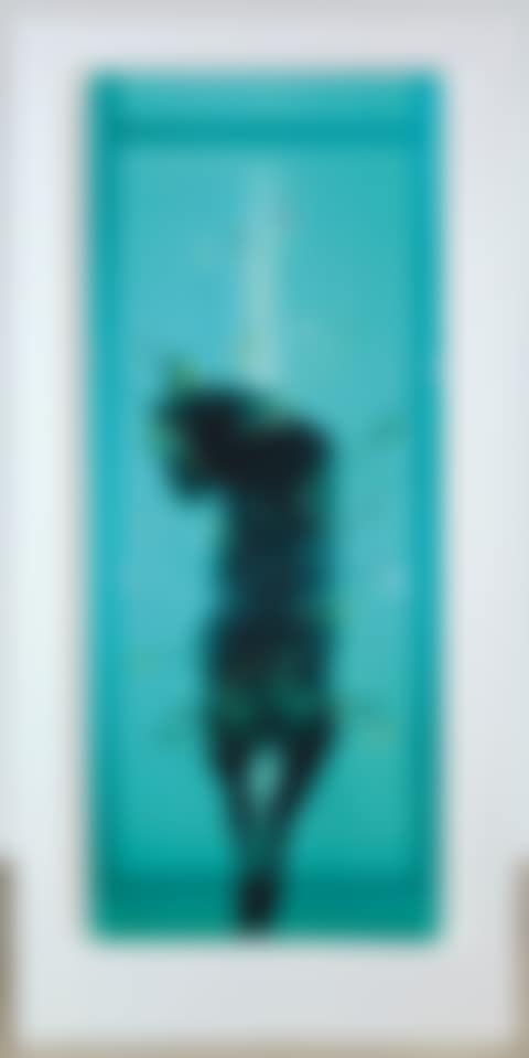 Saint Sebastian, Exquisite Pain (preview)