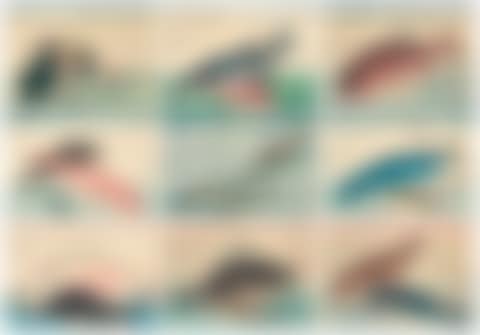 A complete set of the untitled series of large fish (Uozukushi) (preview)