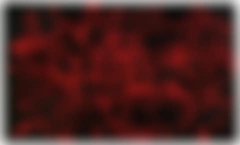 Assedio rosso n.3 (preview)