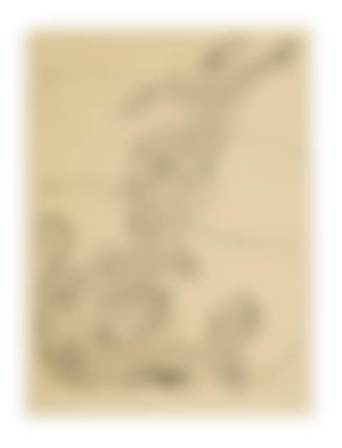 Fantaisie animale (preview)