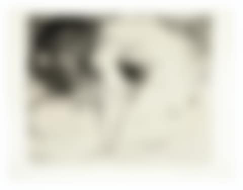 Minotaur caressant une dormeuse, from La Suite Vollard (preview)