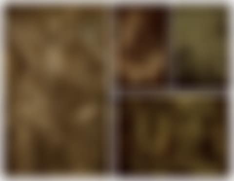 The Crucifixion; The Mocking of Christ; Saint Macarius of Ghent giving communion to the plague victims; and A triumphal procession (The Triumph of David?) (preview)