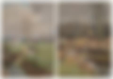 The Berkeley; and The Blackmore Vale (preview)
