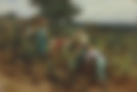 La vendange à Mont-Saint-Père (preview)