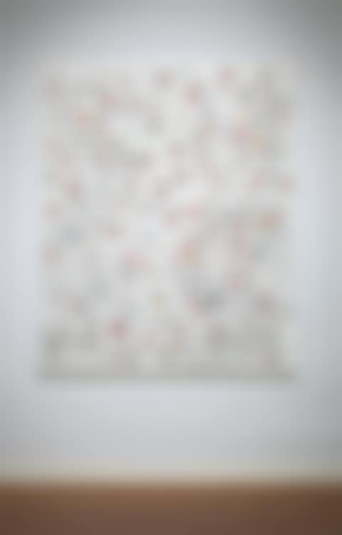 Grafismos, flores y mariposas (preview)