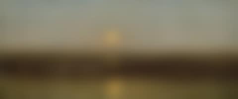 Moonrise on the Seashore (preview)