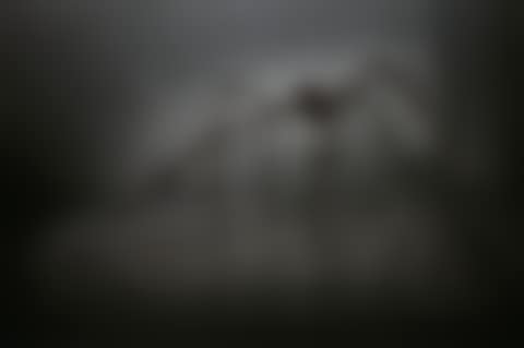 Spider (preview)