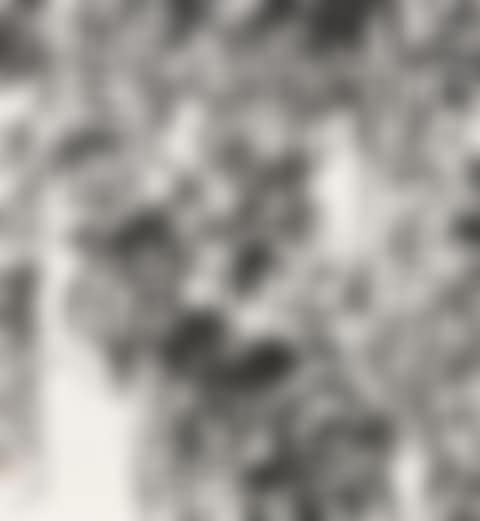 Chaos Script Calligraphy – Her Light Step Does Not Grace Lakeside Road (preview)