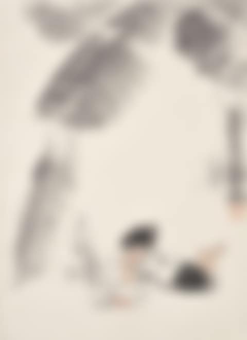 Girl Reading under Plantain (preview)