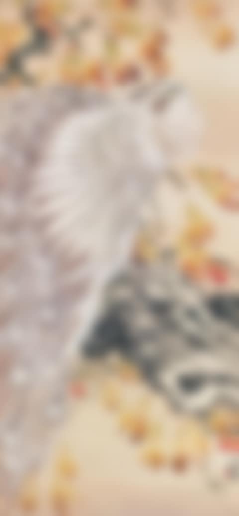 White Peacock and Red Persimmon (preview)
