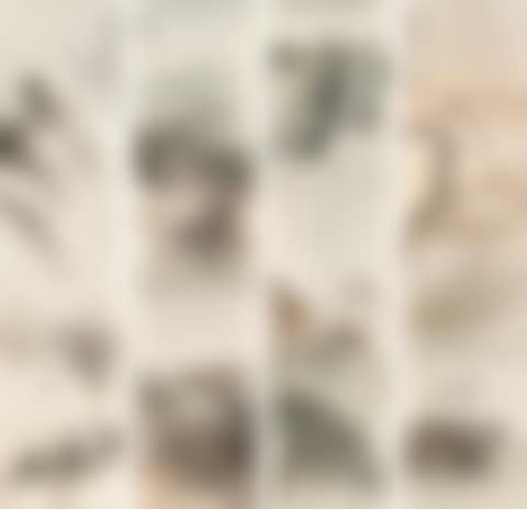 Four Seasons (preview)