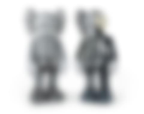 COMPANION (Grey) (preview)