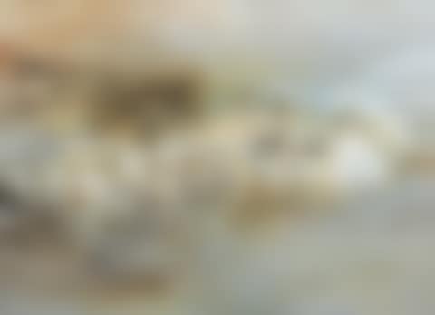 11.03.60 (preview)