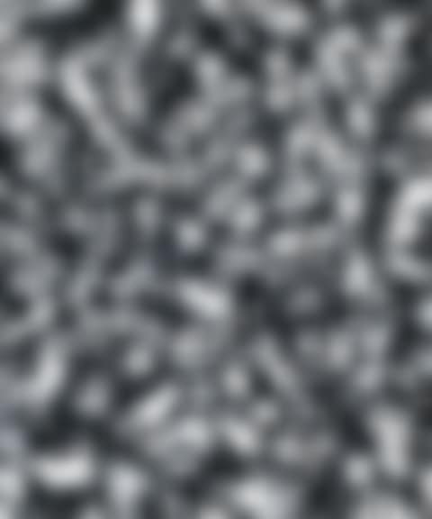 Auris Externa (preview)