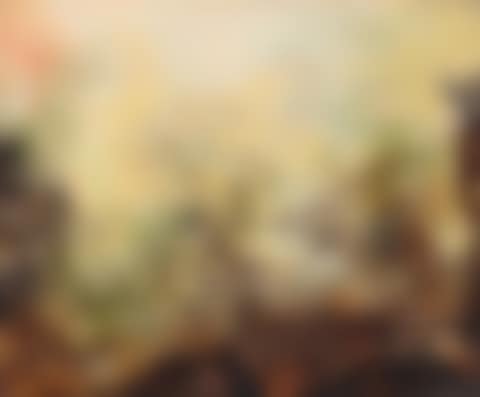 18.04.79 (preview)