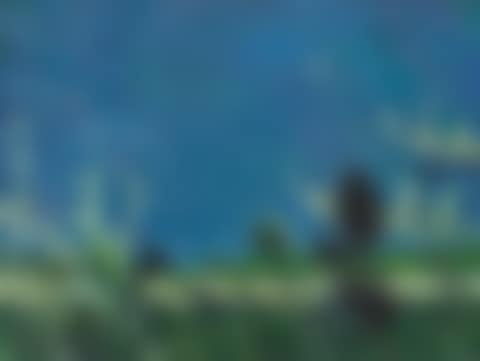 Summer Legend (preview)