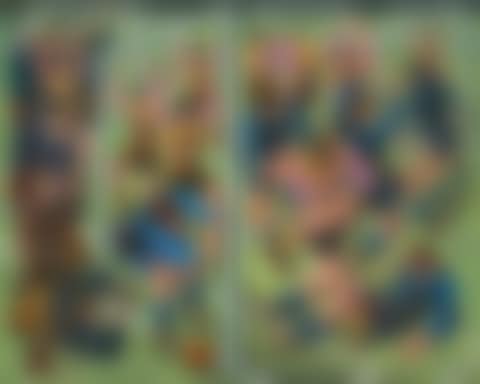 Goal (preview)