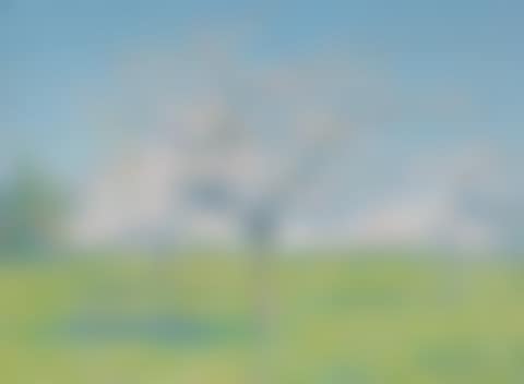 Verger en fleur (preview)