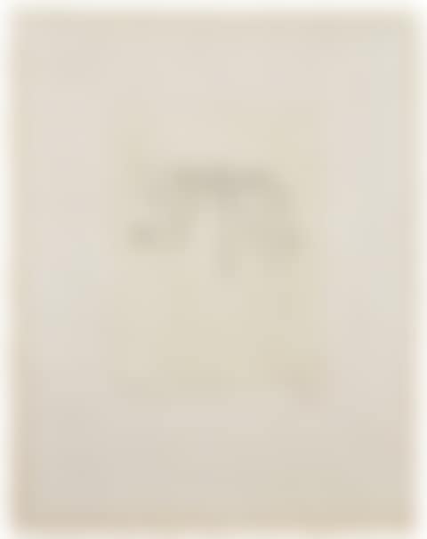 The Sieves, from: The Large Glass and Related works, volume I (preview)