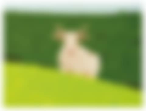 Cow in Field (preview)